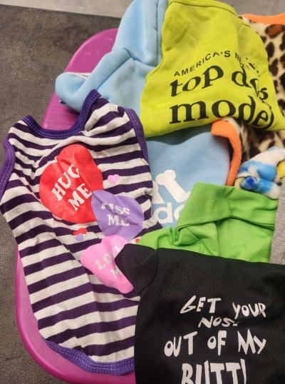 Pet Dog Lot of 11 Outfits Lightly Worn New SZs S to M - Thumbnail 3