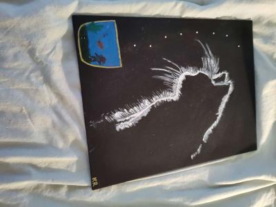 the curious cat - Austin, Texas