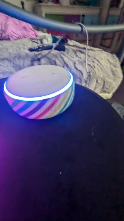 Amazon Echo Dot   Kids alexa - Thumbnail 4