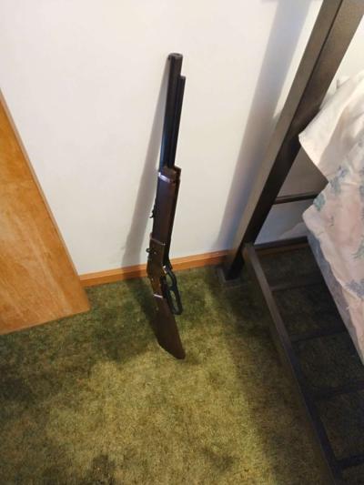 BB gun - Thumbnail 2