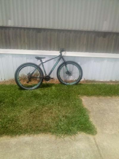 Florence story Circle - Thumbnail 3