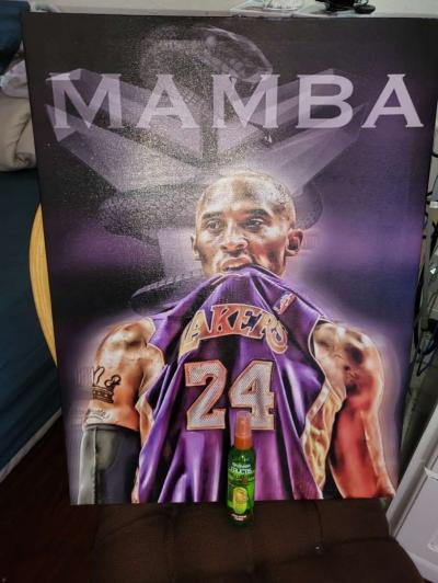 Different canvas avaliable  20 each - Thumbnail 3