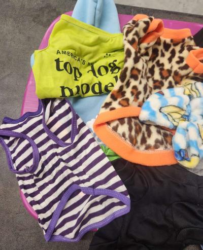 Pet Dog Lot of 11 Outfits Lightly Worn New SZs S to M - Thumbnail 4