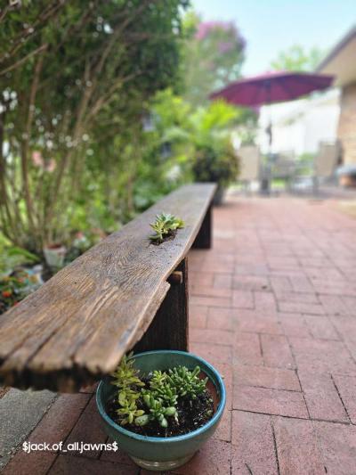 Reclaimed oak board bench 1839 - Thumbnail 4