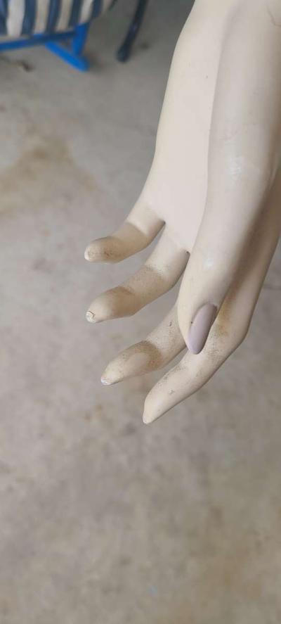 Female Mannequin - Thumbnail 4