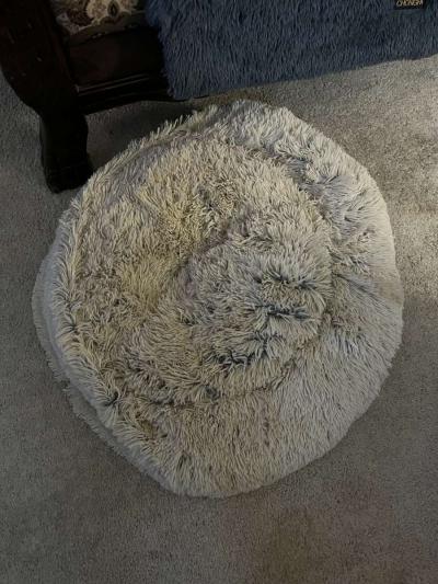 Medium Size Pet Bed - Thumbnail 2