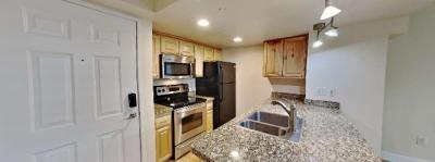 Beautiful 1bed 1bath - Thumbnail 2