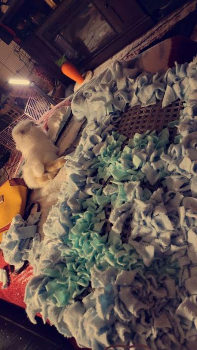 custum snuffle mats washable - Thumbnail 2