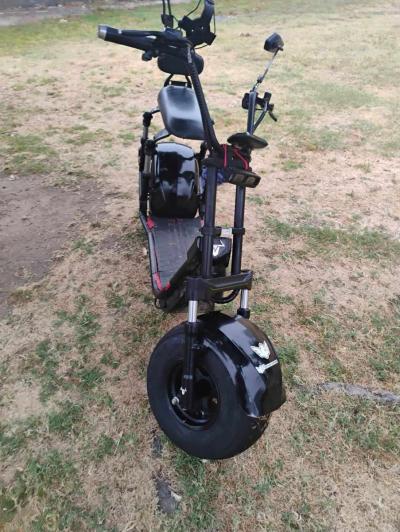 wind horse fat tire hog - Thumbnail 4