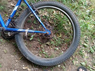 son buenas - Thumbnail 2