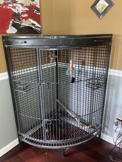 Bird Cage - Thumbnail 2