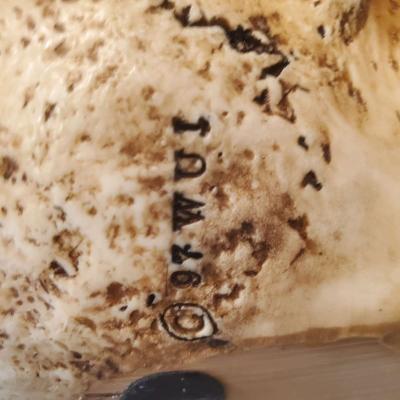 2 Large Resin Tribal Skulls 7x9 - Thumbnail 6