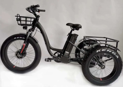 Electric Trike