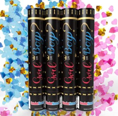 GENDER REVEAL CANONS - Thumbnail 4