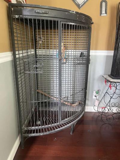 Bird Cage - Thumbnail 3