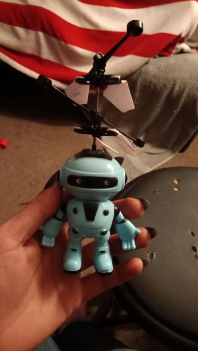 flying robot - Brooksville, Florida