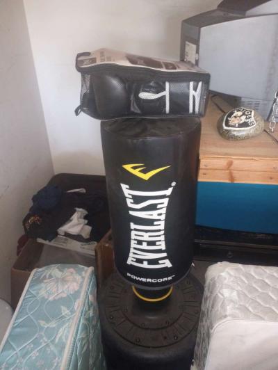Everlast bag with gloves - Thumbnail 2