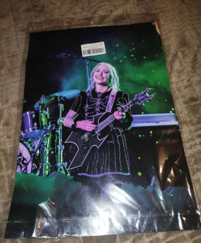 Phoebe Bridgers The Record 8 posters - Thumbnail 2