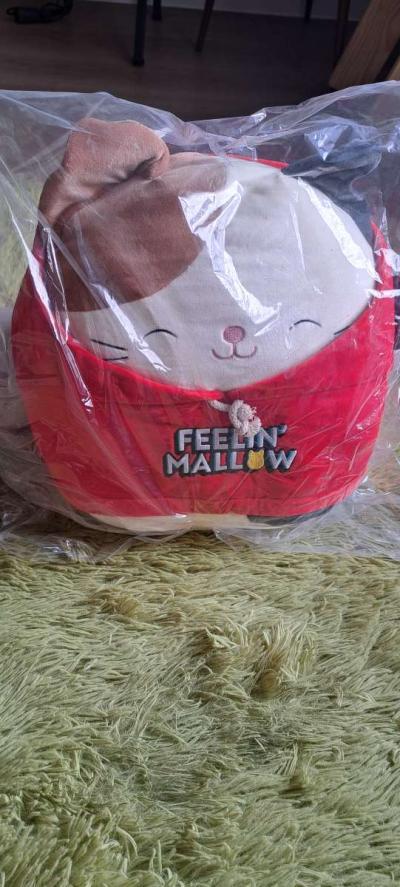 squishmallows cam - Thumbnail 2