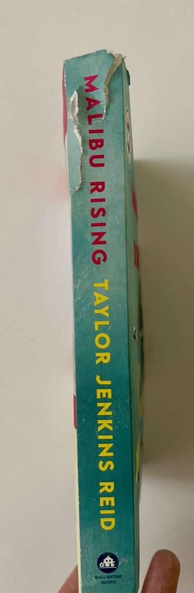 Malibu Rising book - Thumbnail 3