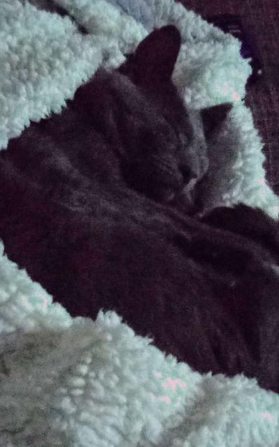 asking for donations - Thumbnail 2