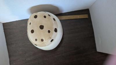 SQUISHMALLOWS KOAKO THE CHOCOLATE CHIP ICE CREAM SANDWICH 75 - Thumbnail 5