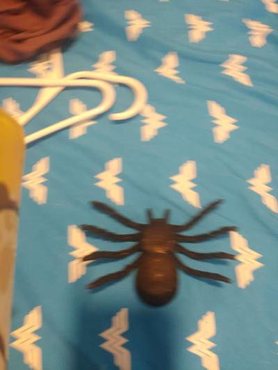 Halloween decor - Thumbnail 2