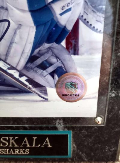 Vesa Toskala Signed Sharks 8x10 Gloss Finish Photo in Heavy - Thumbnail 3