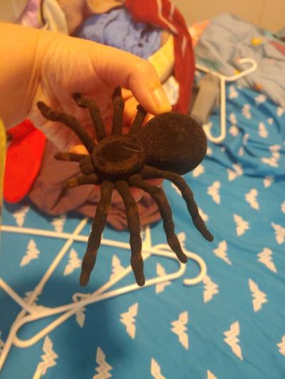 Halloween decor - Thumbnail 5