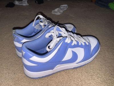 Blue Nike Dunks