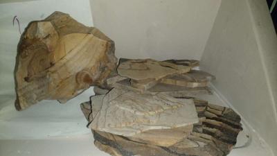 picture jasper beautiful elegant highly recommend - Thumbnail 3