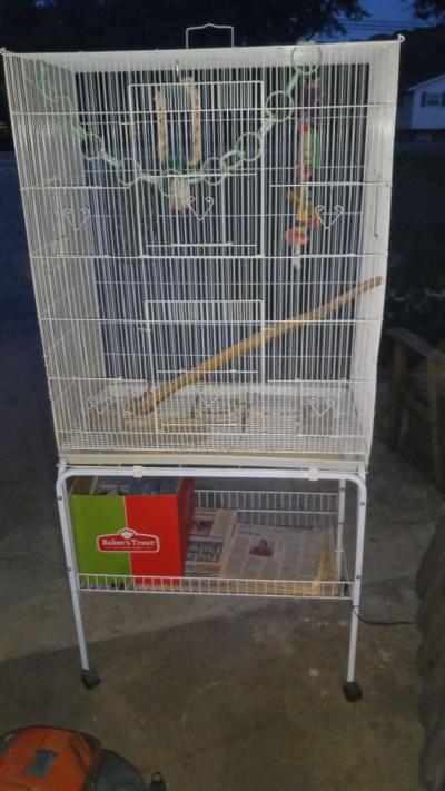 bird  sugar gliders cage