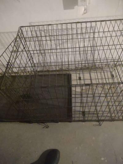 dog cage - Thumbnail 2