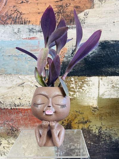 Purple Heart Tradescantia - Thumbnail 3