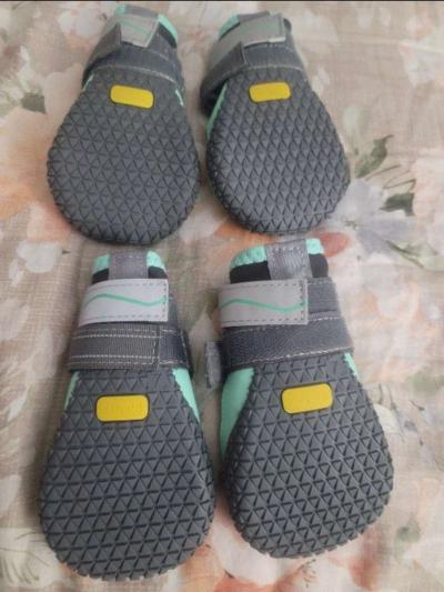 DOGS Shoes - Thumbnail 2