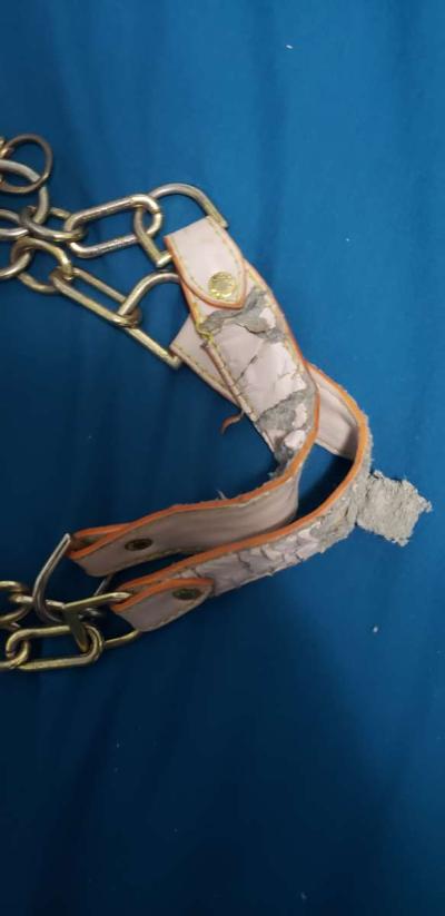 Louis vuitton bag - Thumbnail 6