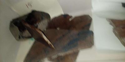 picture jasper beautiful elegant highly recommend - Thumbnail 4