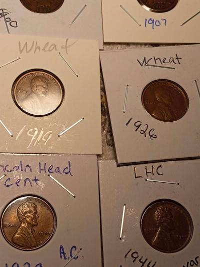 wheats and indian heads - Thumbnail 4
