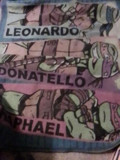 TEENAGE MUTANT NINJA TURTLES RUG - Thumbnail 3