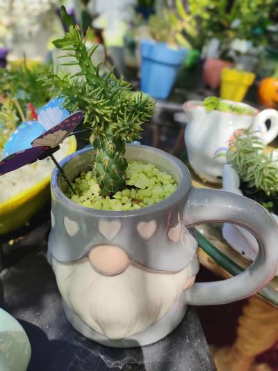 plantas naturales natural plants