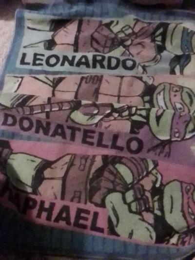 TEENAGE MUTANT NINJA TURTLES RUG - Thumbnail 2