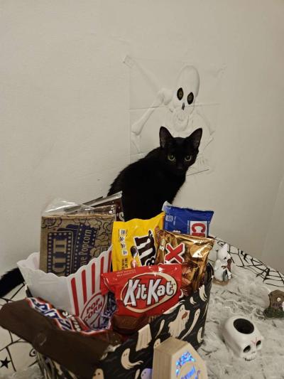 Halloween Miniature Candy Box - Thumbnail 2