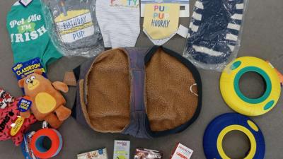 all     for you dog - Thumbnail 3