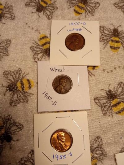 wheats and indian heads - Thumbnail 6