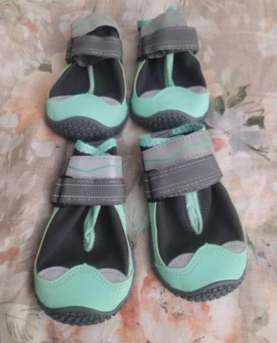 DOGS Shoes - Thumbnail 3