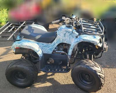 2015 Tao Tao - Thumbnail 3