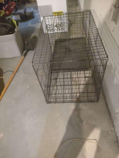dog cage - Thumbnail 3