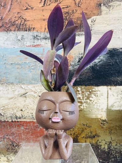 Purple Heart Tradescantia - Thumbnail 2