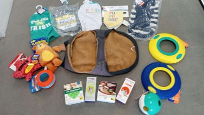 all     for you dog - Thumbnail 6