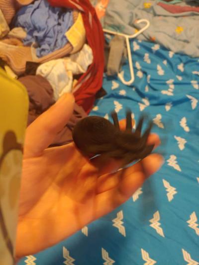 Halloween decor - Thumbnail 3